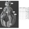 Digital: Mortian ZM Upgrade kit 2 (all KS files) - Image 52