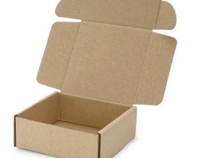 Mortian Transport and Storage Box